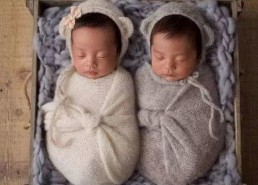 龙凤胎娱乐圈吃瓜